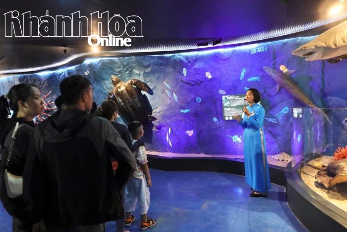 Bảo tàng Hải dương học mở cửa miễn phí khu trưng bày tại cơ sở đồi Hòn Chồng đến ngày 15-9