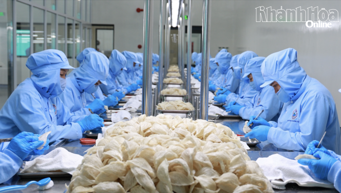 Yến sào Khánh Hòa nằm trong 100 doanh nghiệp nhà nước đóng góp ngân sách lớn nhất Việt Nam