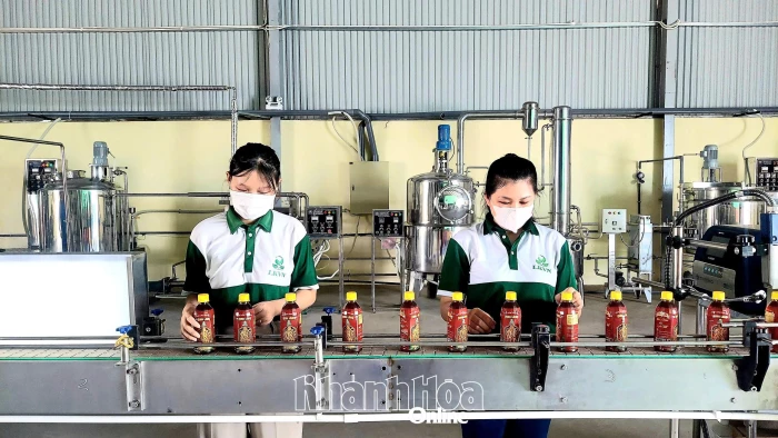 Thúc đẩy các nguồn lực tài chính ở cấp xã