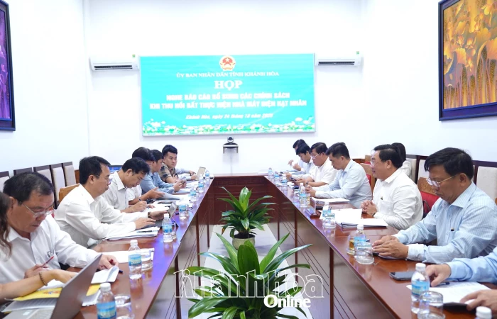 Đề xuất bổ sung các chính sách khi thực hiện các dự án điện hạt nhân