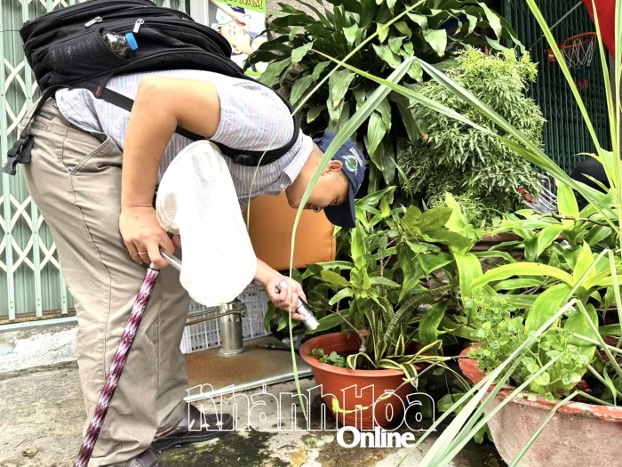 Phòng, chống bệnh sốt xuất huyết trong mùa mưa