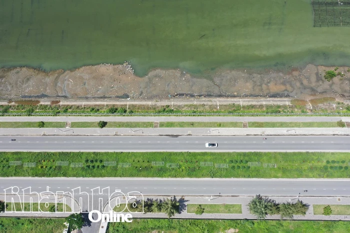 Công trình trồng cây xanh dải phân cách đường Vành đai 2, nhánh phía nam: Sẽ sớm bàn giao quản lý, chăm sóc để phát huy hiệu quả