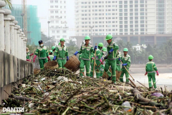 Theo nghề qua những mùa mưa nắng