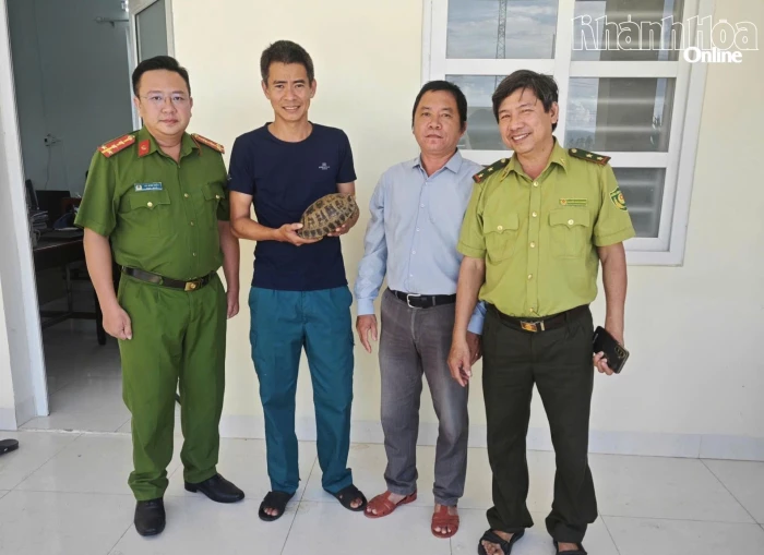 Người dân xã Xuân Hải tự nguyện giao nộp rùa núi vàng quý, hiếm