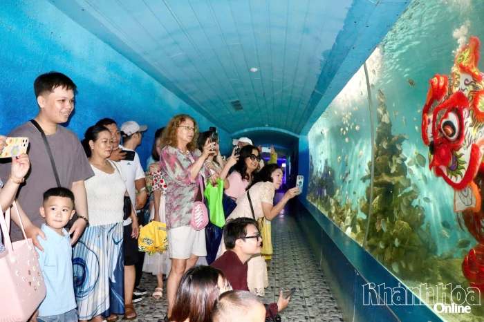 Bảo tàng Hải dương học: Đưa khoa học biển đến gần công chúng