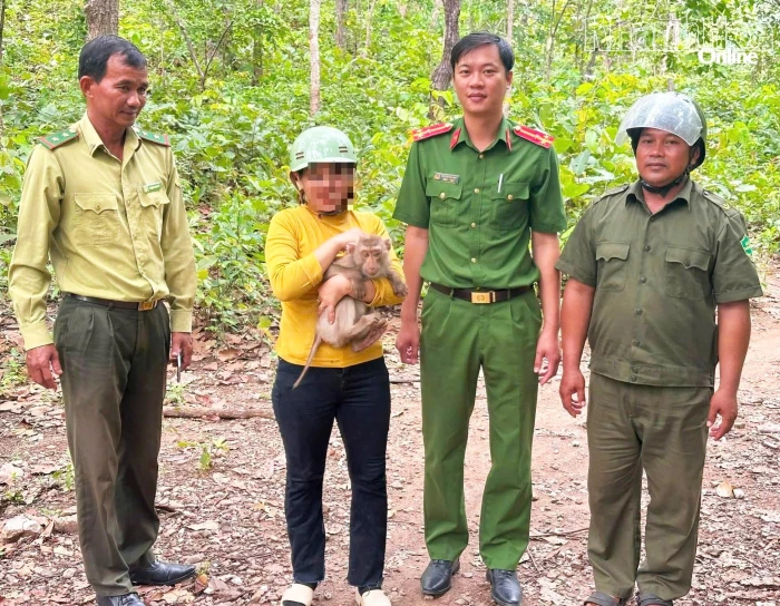 Công an xã Anh Dũng phối hợp vận động người dân thả cá thể khỉ về rừng tự nhiên