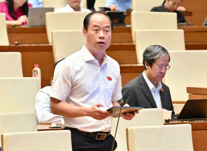 Khoan hồng có điều kiện đối với người tự nguyện nhận tội, chấp nhận hình phạt được đề nghị
