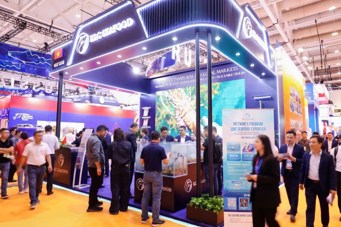 KLC Seafood tăng tốc chiến lược tại thị trường Trung Quốc với tôm hùm xanh Việt Nam
