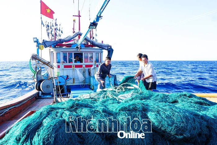 Ngư dân cần tuân thủ các quy định về bảo vệ thú biển