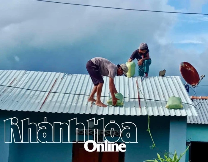 Người dân xã Bắc Khánh Vĩnh chằng chống nhà cửa chủ động phòng, chống bão