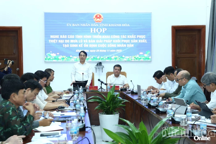 Nhanh chóng hỗ trợ người dân ổn định đời sống, khôi phục sản xuất, kinh doanh