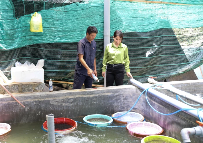 Khẩn trương rà soát, bố trí nhân lực cấp xã thực hiện nhiệm vụ nông nghiệp, môi trường