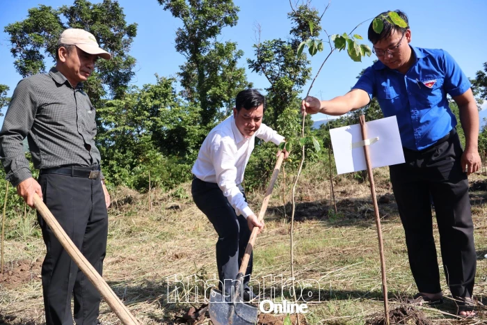 Ngành Nông nghiệp và Môi trường tổ chức trồng 300 cây gỗ hương tại xã Tây Ninh Hòa