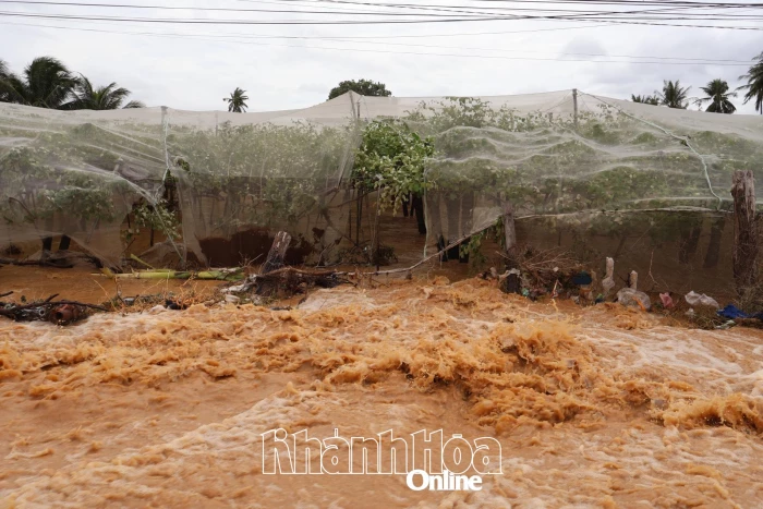 Vào vùng ngập lụt phía nam Khánh Hòa