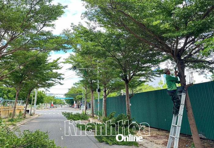 Phường Ninh Chử chủ động phòng, chống bão