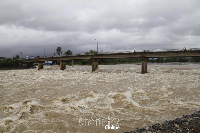 Nước lũ trên sông cái Nha Trang lên lại vào trưa nay (19-11)