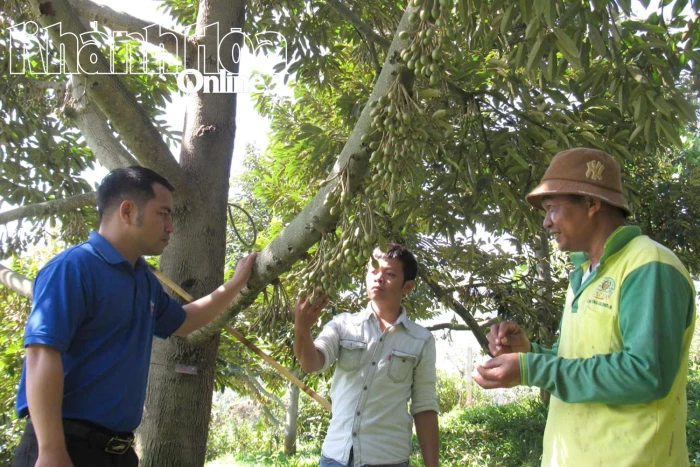 Xã Đông Khánh Sơn: Nhiều “hạt nhân” thúc đẩy giảm nghèo