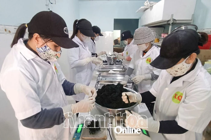 Phường Đông Ninh Hòa: : Phụ nữ đồng hành hỗ trợ nhau phát triển