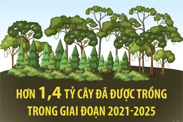 Hơn 1,4 tỷ cây đã được trồng trong giai đoạn 2021-2025