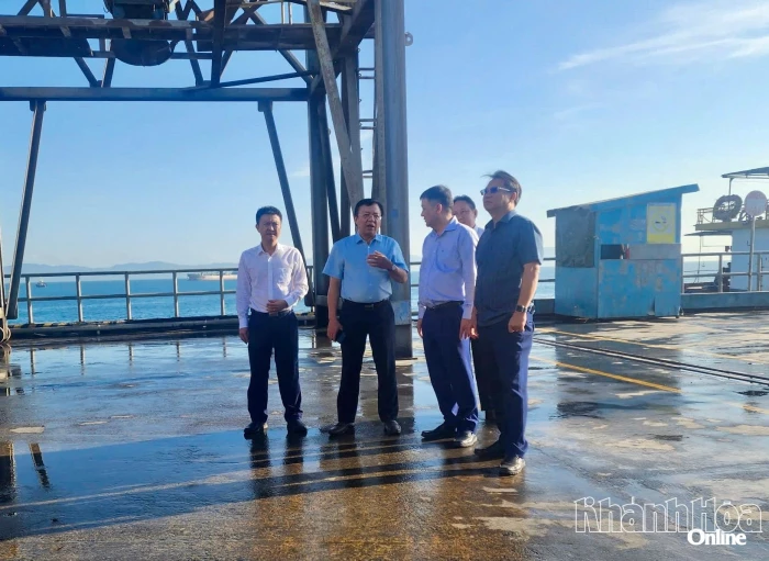 Phó Chủ tịch UBND tỉnh Khánh Hòa Lê Huyền làm việc với Công ty Cổ phần Cảng quốc tế Nam Vân Phong