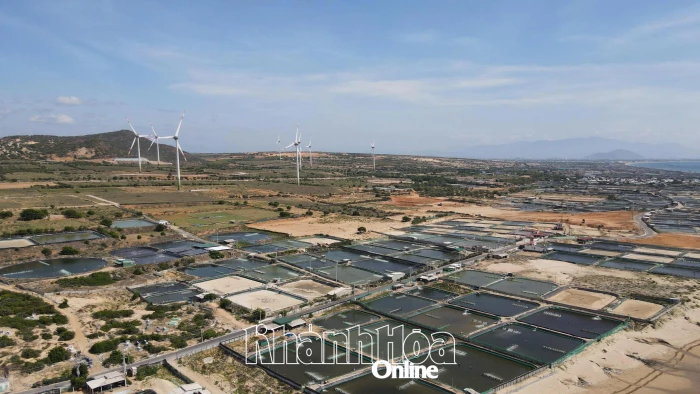 Phê duyệt dự án di dời, tái định cư gần 6.700 tỷ đồng cho Nhà máy Điện hạt nhân Ninh Thuận 1