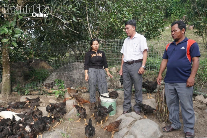 Xã Cam Hiệp: Tạo sinh kế bền vững cho đồng bào dân tộc thiểu số