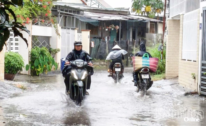 Dự báo mưa lớn trên địa bàn tỉnh Khánh Hòa trong 2 ngày 3 và 4-12