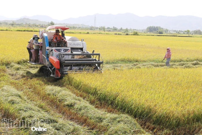 Chào mừng Đại hội đại biểu Hội Nông dân tỉnh Khánh Hòa lần thứ I, nhiệm kỳ 2025 - 2030: Phát huy vai trò của nông dân trong kỷ nguyên mới