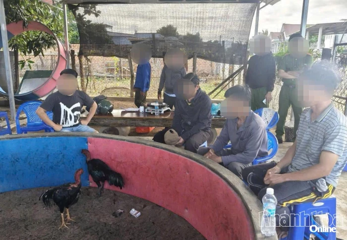 Công an xã Phước Hậu liên tiếp triệt phá các tụ điểm đá gà cá cược