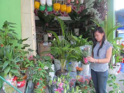 Các cửa hàng bán hoa Đà Lạt cũng sẵn sàng cùng người trồng hoa  địa phương cung cấp hoa Tết
