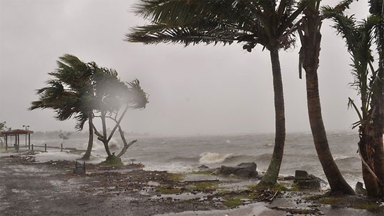 Gió to sóng lớn khi bão Evan đổ bộ vào Suva, Fiji ngày 17/12/2012. 