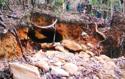 Khu vực rừng thuộc xã Khánh Thành bị đào bới tìm quặng.