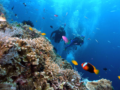 Phí tham quan, lặn biển ở Hòn Mun sẽ tăng từ ngày 1-1-2014.