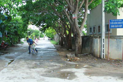 Tuyến đường đăng ký xanh - sạch - đẹp của Chi bộ Tổ dân phố Lộc Trường.