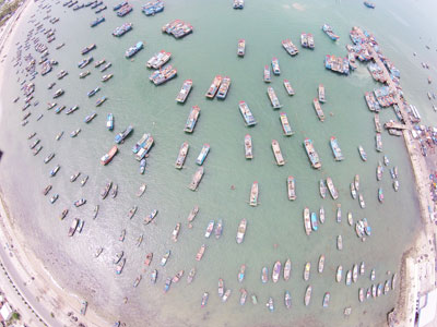 Những chiếc thuyền như những chiếc lá tại cảng cá Vĩnh Lương.