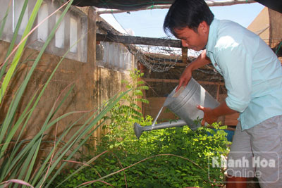 Anh Nguyễn Thành Chung (đảo Song Tử Tây) chăm sóc vườn rau của gia đình.