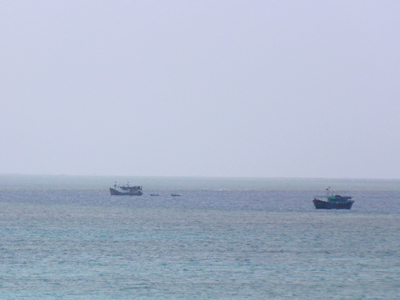 Tàu cá đánh bắt hải sản tại khu vực đảo Đá Lớn. (Ảnh minh họa)