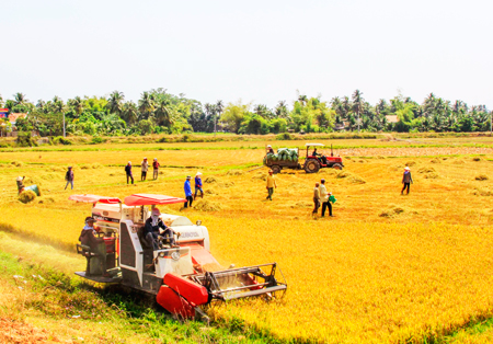 Sản xuất nông nghiệp ở xã Vạn Bình