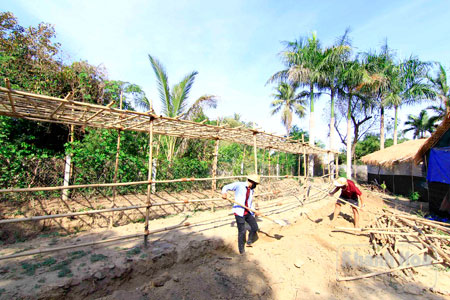 Vườn rau hữu cơ đang được triển khai ở xã Vĩnh Trung, TP. Nha Trang