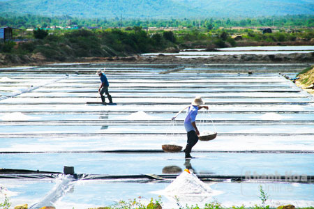 Diêm dân thôn Xuân Mỹ, xã Ninh Thọ sản xuất muối