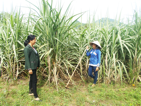 Bà Nguyễn Thị Ngọc Trinh (bên trái) trò chuyện với hộ vay vốn tại thôn Vĩnh Nam, xã Cam An Nam