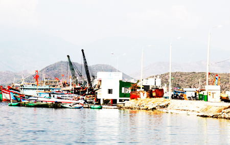 Trung tâm Nghề cá lớn Khánh Hòa sẽ được xây dựng tại khu vực Cảng Đá Bạc (TP. Cam Ranh)