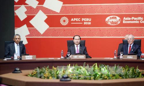 Chủ tịch nước Trần Đại Quang dự Hội nghị Cấp cao lần thứ 24 của Diễn đàn Hợp tác kinh tế châu Á - Thái Bình Dương (APEC) - APEC Peru 2016. (Ảnh: Nhan Sáng - TTXVN)