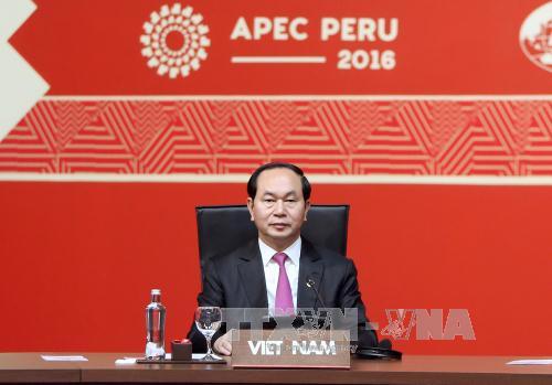 Chủ tịch nước Trần Đại Quang dự Hội nghị các nhà lãnh đạo các nền kinh tế thuộc Diễn đàn Hợp tác Kinh tế Châu Á-Thái Bình Dương (APEC) - APEC Peru 2016. Ảnh: Nhan Sáng