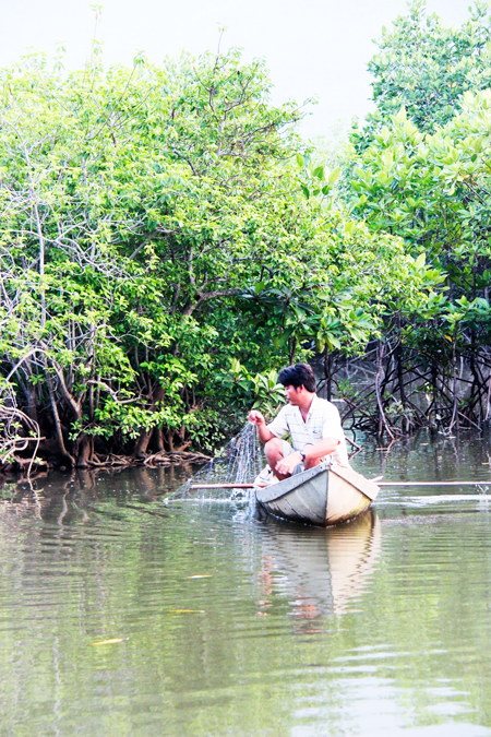 Người dân buông lưới đánh cá dưới tán rừng ngập mặn