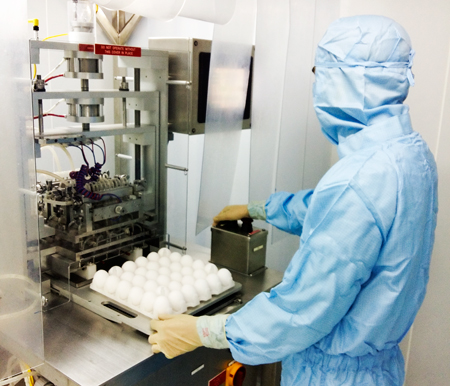 Cắt vỏ trứng gà Novo White trong quy trình sản xuất vắc xin cúm A/H5N1, cúm A/H1N1/09