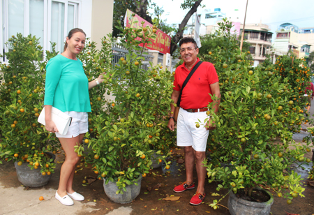Ông Jose joao và bà Monica galvao, du khách người Bồ Đào Nha, chụp ảnh bên những cây quất. Ông 