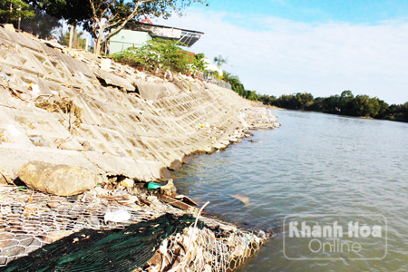 Nhiều đoạn bờ kè dọc hạ lưu sông Cái bị hư hỏng trong mùa mưa lũ vừa qua