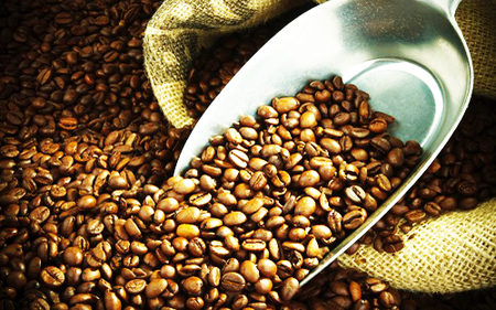 Chưa phát hiện cơ sở sử dụng hóa chất, phụ gia ngoài danh mục chế biến cà phê