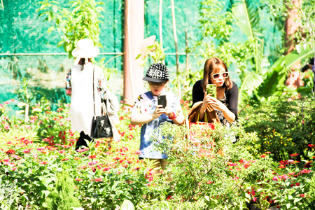 Tourists visiting butterfly garden on Hoa Lan island